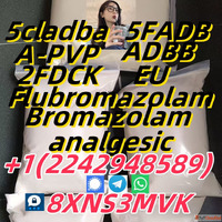 CAS No. 71368-80-4 Bromazolam 99 Purity CAS71368-80-4 Bromaz...