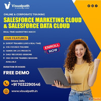 Salesforce Marketing Cloud Online Training in India Salesfor...