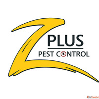 Best Pest Control Services in Noida - Termite Cockroach Bed ...