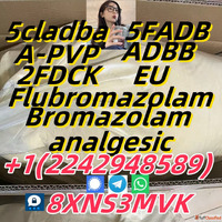 High Quality Bromazolam Cas 71368-80-4 BDPC 70895-01-1 R6890...