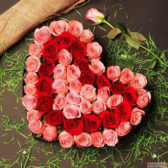 Send Flowers to Panchkula with Same Day Delivery - OyeGifts