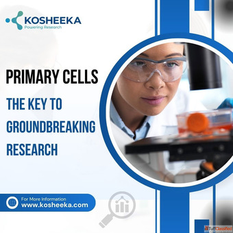 Primary Cells The Key to Groundbreaking Research