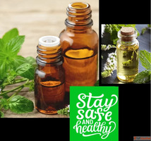Most Reliable Peppermint Oil Suppliers