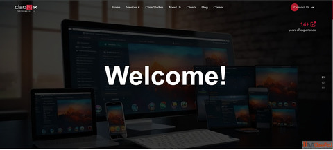 Transform Your Online Presence with Professional Website Design and Development Services