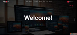 Transform Your Online Presence with Professional Website Des...