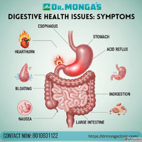 Best doctor near Balbir Nagar for stomach