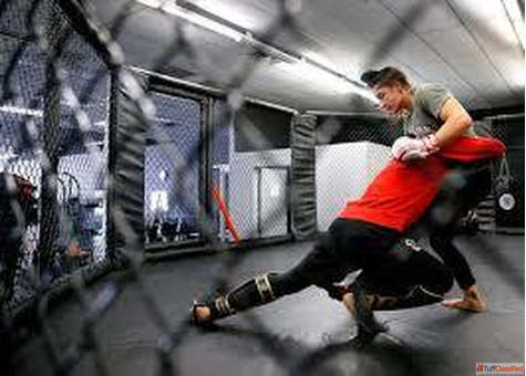 Mixed Martial Arts Training Techniques Tips Benefits