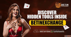 Betinexchange offers simple controls for game players