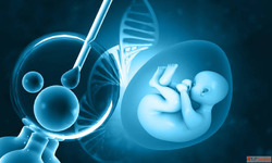 Affordable Surrogacy Cost in Gurugram