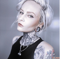Shop PunkPlugs Unique Ear Gauges Tunnels Plugs for Stretched...