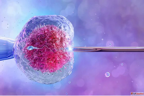 Best Fertility Centre In Coimbatore