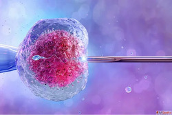Best Fertility Centre In Coimbatore
