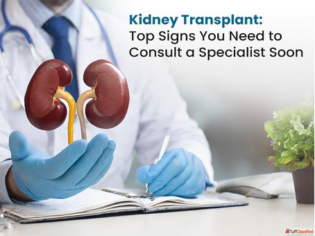 Expert Kidney Transplant Care from Diagnosis to Recovery