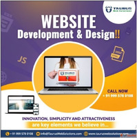 Taurus Web Solutions for web design