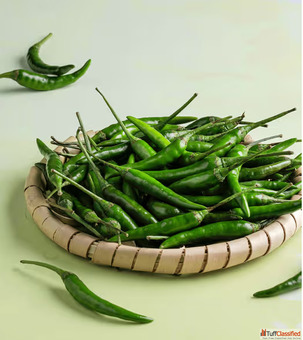Fresh Green Chilli Suppliers in Gujarat