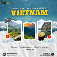 Affordable Vietnam Travel Packages for Every Explorer