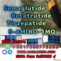 Semaglutide 5-AMINO-1MQ Retatrutide 910463-68-2 China Factor...