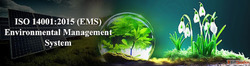Requirements for ISO 14001 Certification