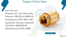 Cu Alloy Non Return Valve Manufacturer in India