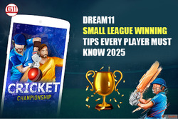 Top Dream11 Small League Tips to Win Big