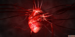 Looking for Vascular Surgery in Gandhinagar