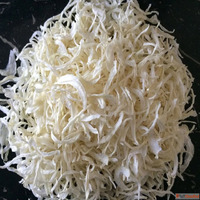 Premium Dehydrated Food Ingredients Supplier