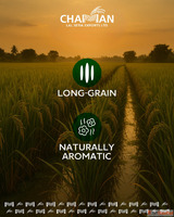 Rice Wholesale Suppliers