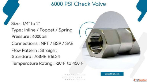 6000 PSI Check Valve