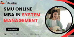 Online MBA in System Management From Sikkim Manipal Universi...