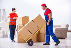 Best Household Shifting Services in Surat
