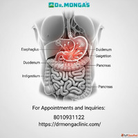 Doctor for stomach queries near in Geeta Colony