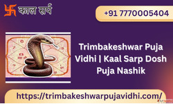 Trimbakeshwar Puja Vidhi Kaal Sarp Dosh Puja Nashik