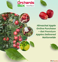 Himachal Apple Online Purchase - Get Premium Apples Delivere...