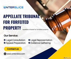 Looking for expert help with matters related to the Appellat...