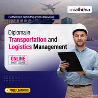 Upgrade Skills with a Diploma in Transport Logistics