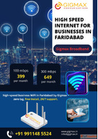 High Speed Internet for Businesses in Faridabad -Choose Gigm...
