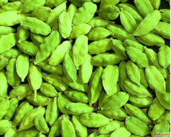 Best Green Cardamom Wholesalers in Sangli