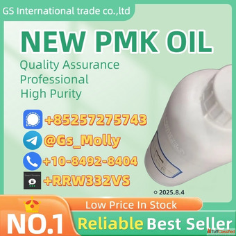 NO.1 P.M.K Oil Supplier 28578-16-7 99 Purity Bulk Stock Ready