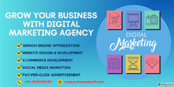 Website Design in Mayapuri