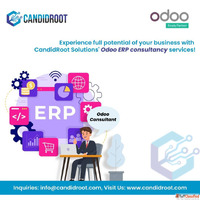 Expert Odoo Consulting Services by Odoo Silver Partner