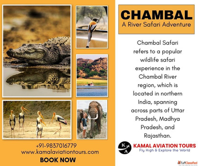 Golden Triangle Tour With Chambal Safari