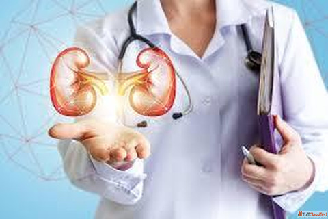 Nephrology Hospital in Raipur