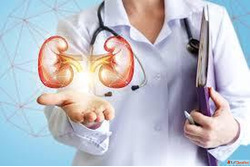 Nephrology Hospital in Raipur