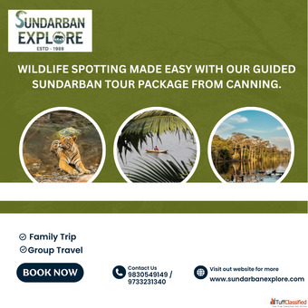 Where the journey begins - the best Sundarban tour package from Canning