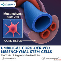 Umbilical Cord-Derived Mesenchymal Stem Cells The Tools of R...