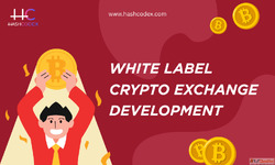 White Label Crypto Exchange Built for Professionals