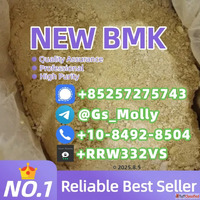Premium B M K Glycidate Powder 5413-05-8 Reliable Supplier f...