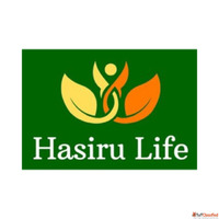 Corporate Plant Rentals in JP Nagar