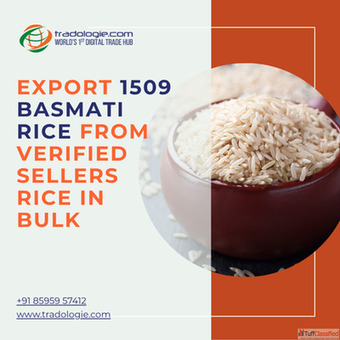 Export 1509 Basmati Rice from Verified Sellers Rice in Bulk