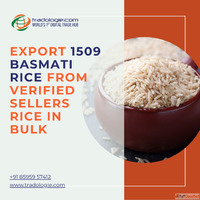 Export 1509 Basmati Rice from Verified Sellers Rice in Bulk